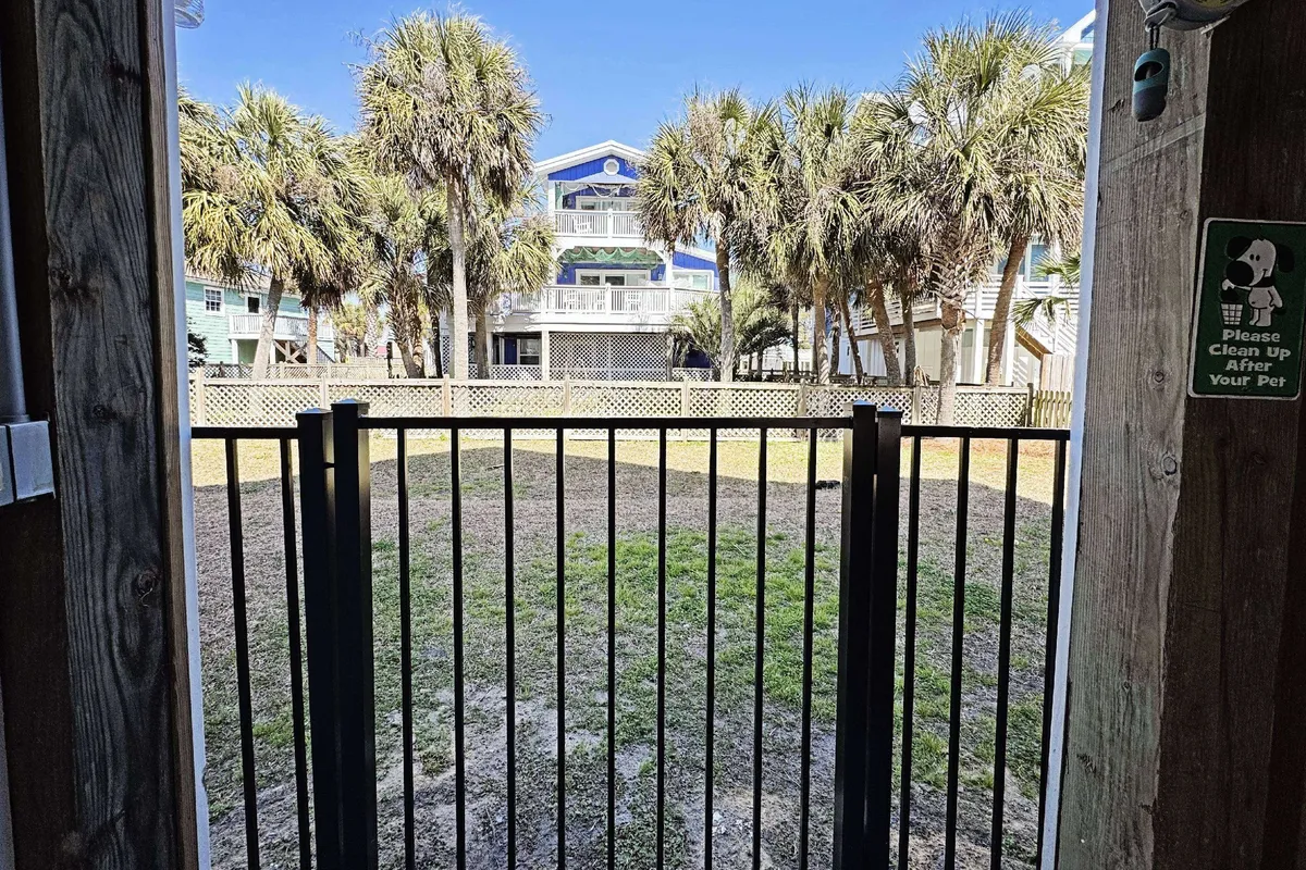 A cheerful scene with palm trees, the fenced yard, and a colorful building in the background. The image suggests outdoor relaxation, playtime with pets, or family gatherings, with a porch visible for seamless indoor-outdoor connection.