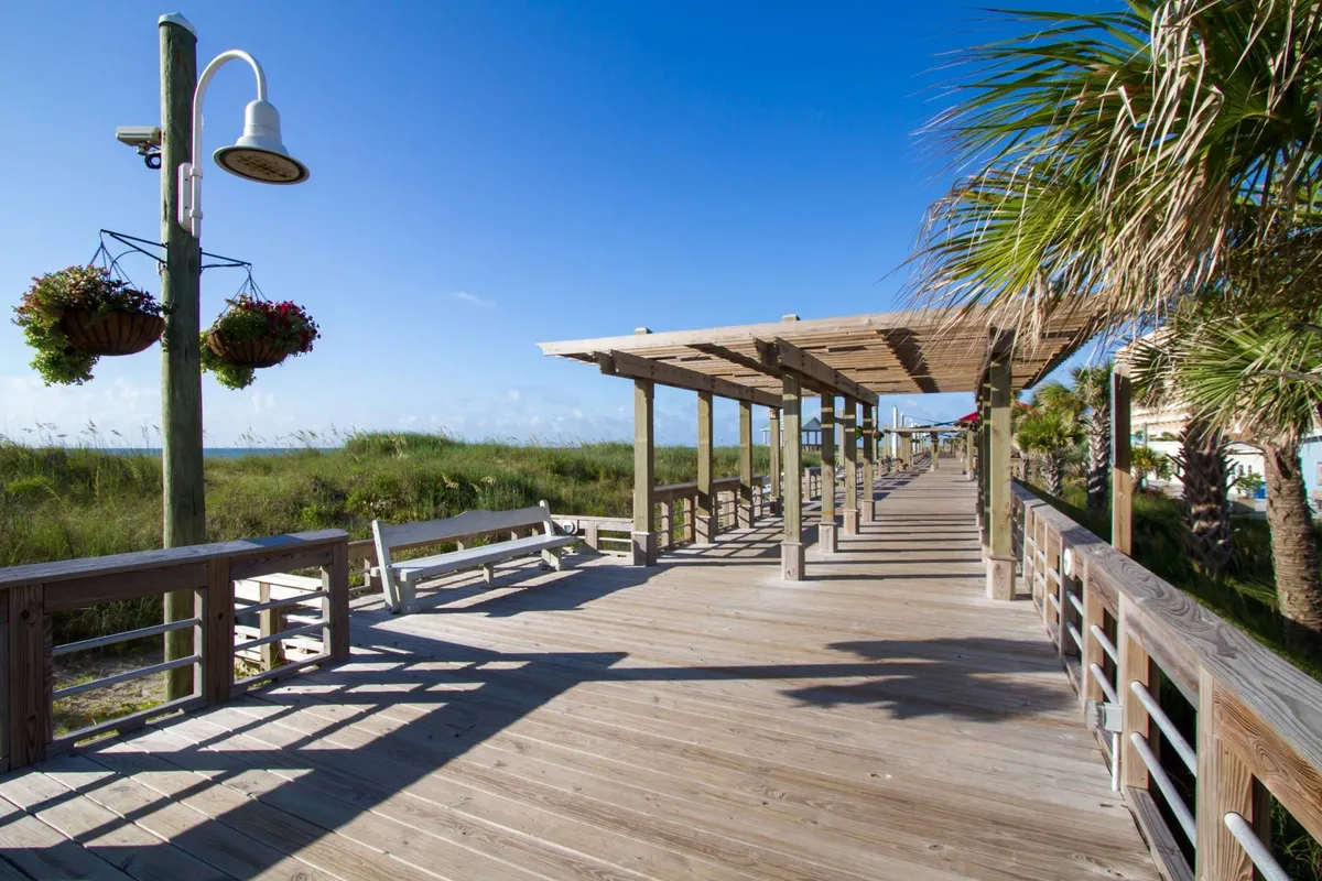 A charming wooden walkway lined with hanging flower baskets, palm trees, and a pergola structure. The tranquil path is inviting for morning or evening strolls with your dog through the neighborhood.