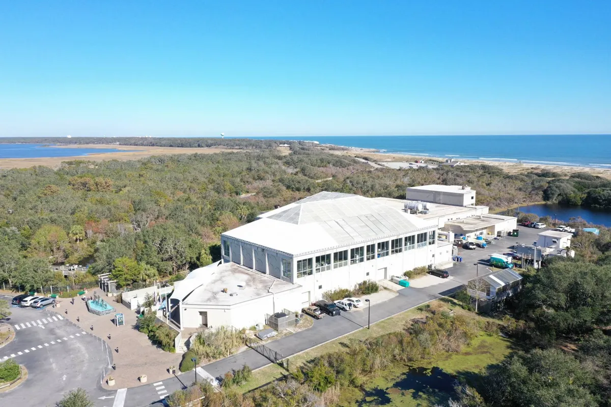 A spacious exterior scene featuring a large building surrounded by lush greenery and situated near water bodies. The view suggests ample outdoor space, ideal for walks or letting pets roam safely. The tranquil setting highlights the peaceful, nature-connected atmosphere of the neighborhood.